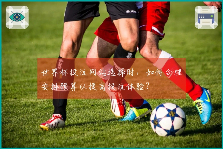 世界杯投注网站选择时，如何合理安排预算以提高投注体验？