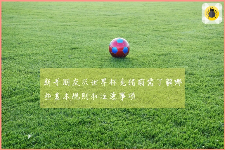 新手朋友买世界杯竞猜前需了解哪些基本规则和注意事项