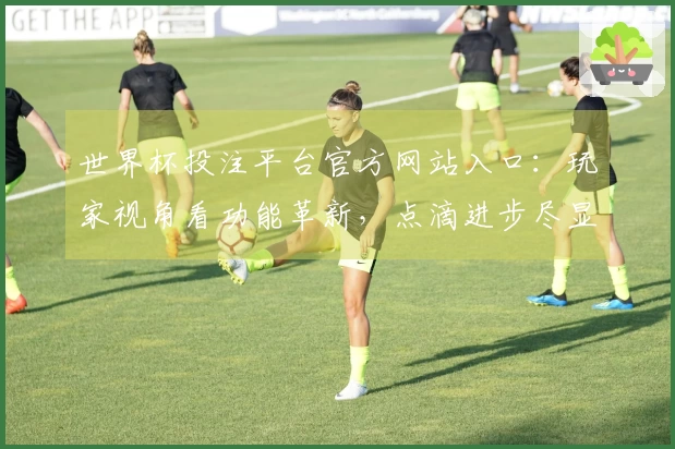 世界杯投注平台官方网站入口：玩家视角看功能革新，点滴进步尽显用户关怀