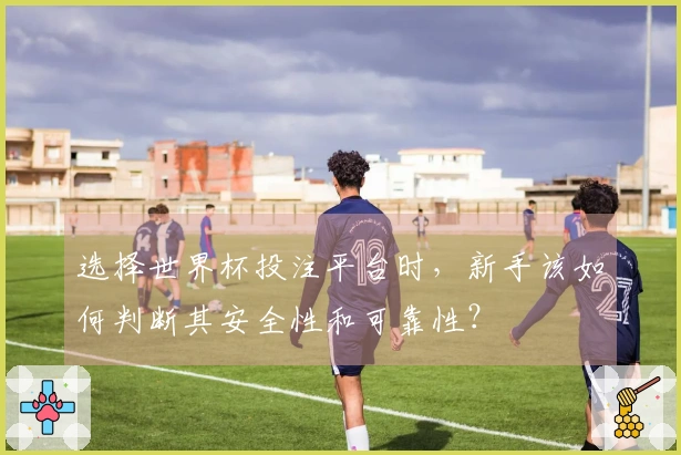 选择世界杯投注平台时，新手该如何判断其安全性和可靠性？