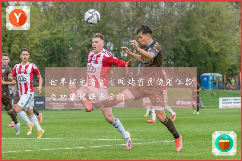 世界杯竞猜官方网站首页使用体验与功能优缺点分析