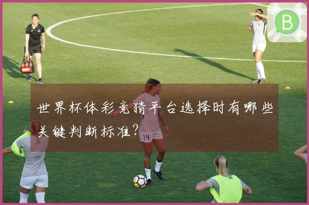 世界杯体彩竞猜平台选择时有哪些关键判断标准？