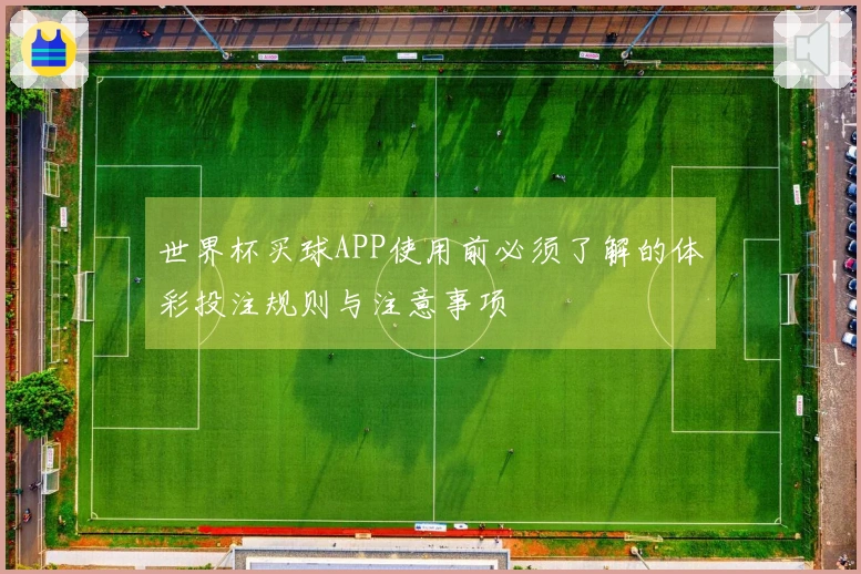世界杯买球APP使用前必须了解的体彩投注规则与注意事项