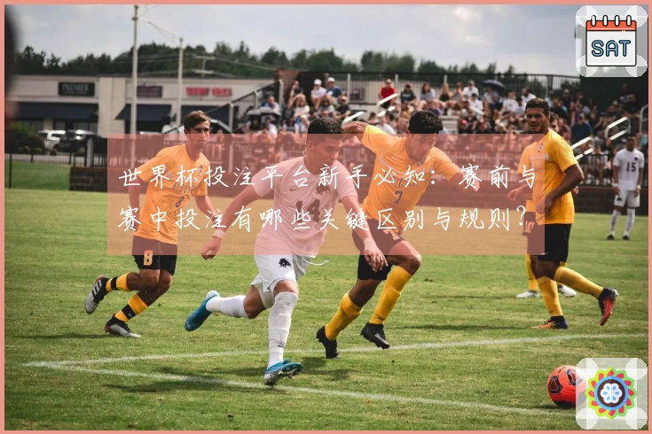 世界杯投注平台新手必知：赛前与赛中投注有哪些关键区别与规则？