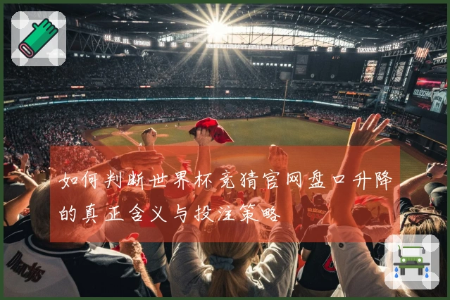 如何判断世界杯竞猜官网盘口升降的真正含义与投注策略