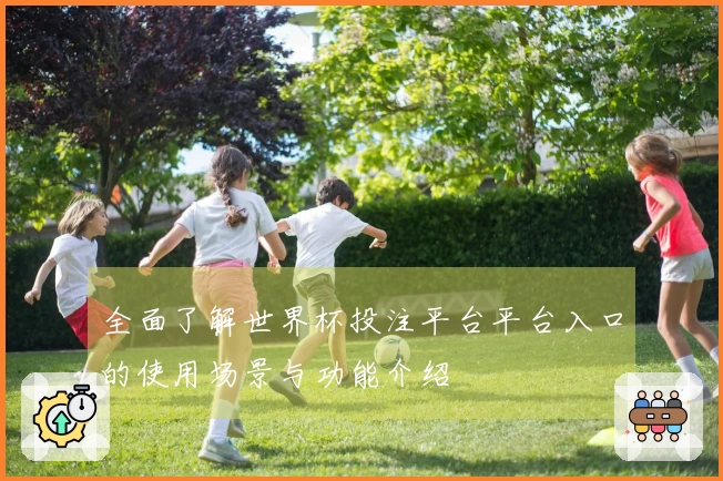全面了解世界杯投注平台平台入口的使用场景与功能介绍