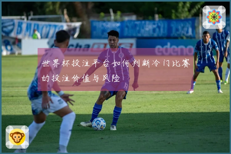 世界杯投注平台如何判断冷门比赛的投注价值与风险