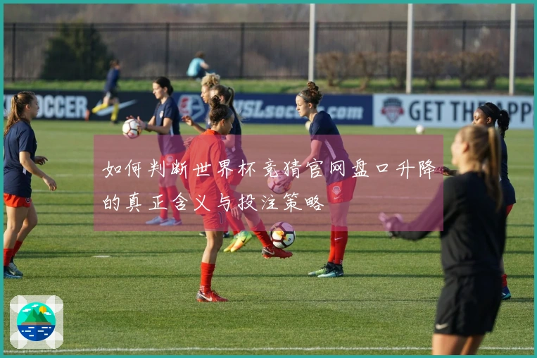 如何判断世界杯竞猜官网盘口升降的真正含义与投注策略