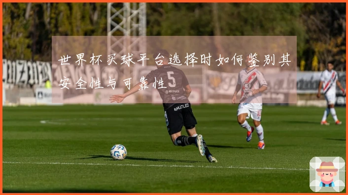 世界杯买球平台选择时如何鉴别其安全性与可靠性
