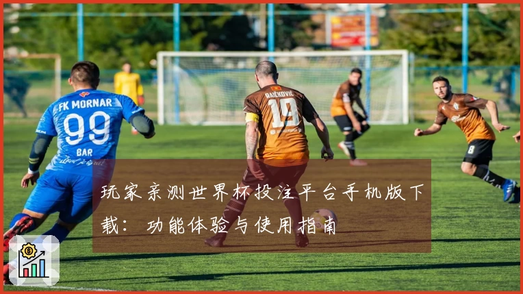 玩家亲测世界杯投注平台手机版下载：功能体验与使用指南
