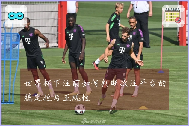世界杯下注前如何判断投注平台的稳定性与正规性