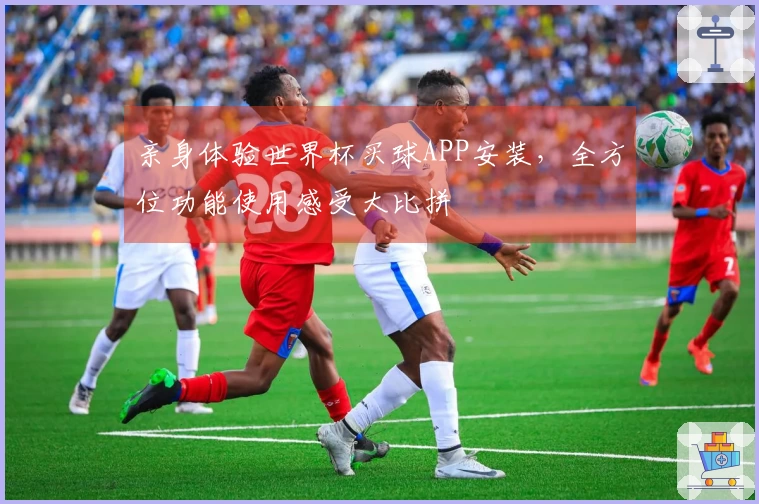 亲身体验世界杯买球APP安装,全方位功能使用感受大比拼