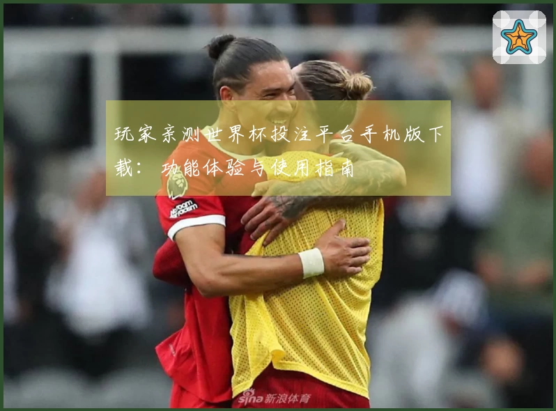 玩家亲测世界杯投注平台手机版下载：功能体验与使用指南