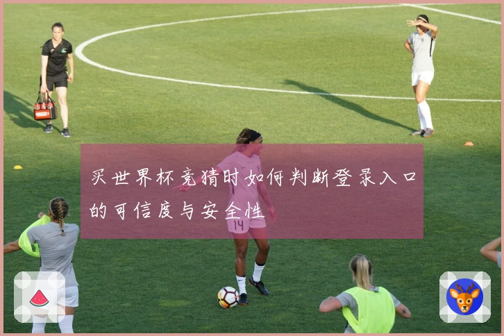 买世界杯竞猜时如何判断登录入口的可信度与安全性