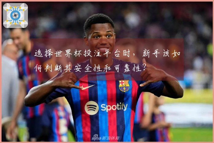 选择世界杯投注平台时，新手该如何判断其安全性和可靠性？