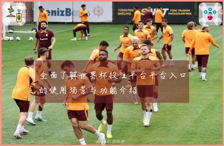 全面了解世界杯投注平台平台入口的使用场景与功能介绍