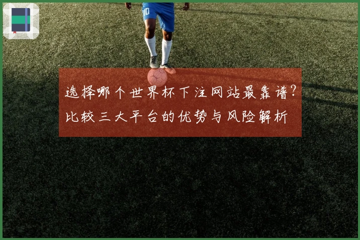选择哪个世界杯下注网站最靠谱？比较三大平台的优势与风险解析