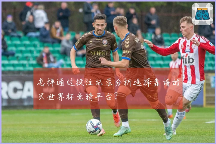 怎样通过投注记录分析选择靠谱的买世界杯竞猜平台？