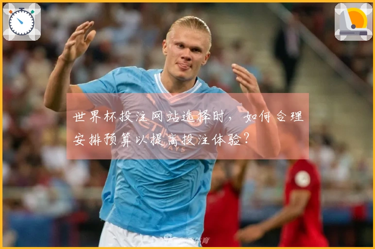 世界杯投注网站选择时，如何合理安排预算以提高投注体验？
