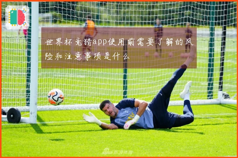 世界杯竞猜app使用前需要了解的风险和注意事项是什么